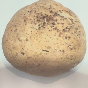 Pano Salato Knoflook (Bake off)